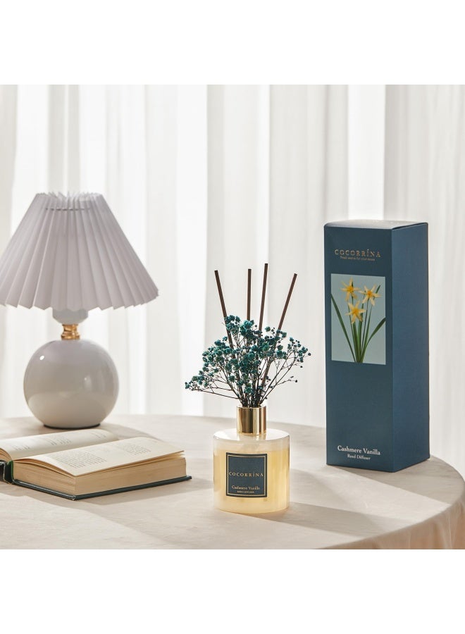 COCORRÃNA Cocorrna Premium Reed Diffuser Set with Preserved Babys Breath  Cotton Stick Cashmere Vanilla  67oz Scent Fragrance Oil Diffuser for Bedroom Bathroom Home Dcor - Image 3