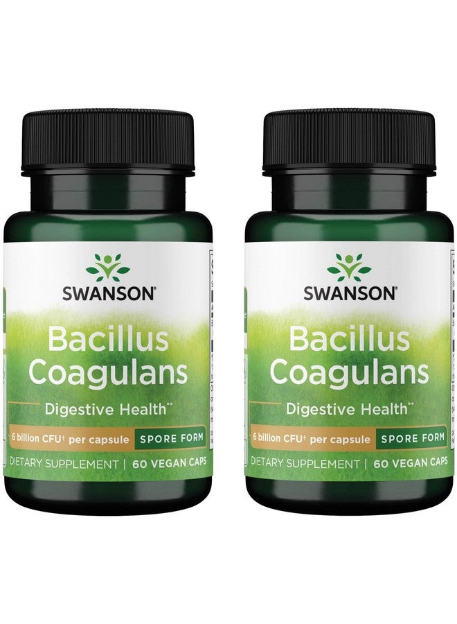 Swanson Bacillus Coagulans - Natural Probiotic Supplement Supporting Digestive Health w/ 6 Billion CFU - May Support GI & Overall Gut Health - (60 Veggie Capsules) (2 Pack)