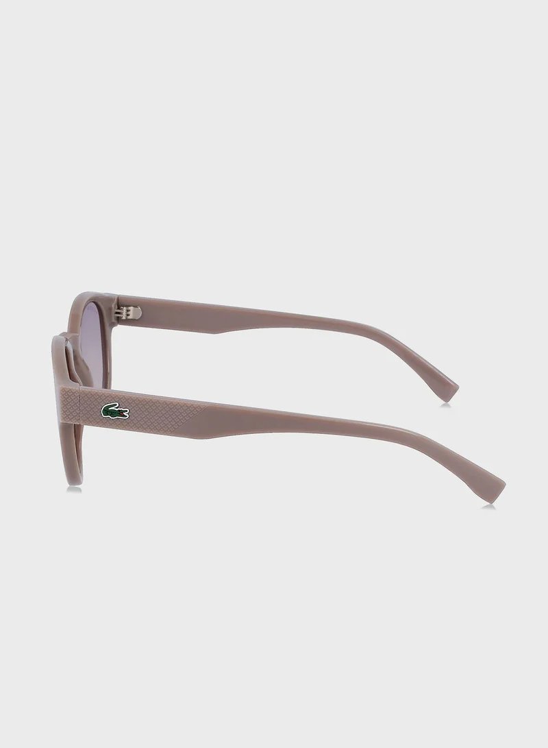 LACOSTE Oval Shape Sunglasses
