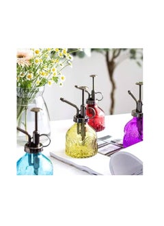 Spaceshoop Glass Plant Mister Spray Bottle, 6.5" Tall Vintage Plant Spritzer Watering Can, Succulent Watering Bottle with Top Pump, Small Plant Sprayer Mister for Indoor Outdoor House Plant  - Image 1
