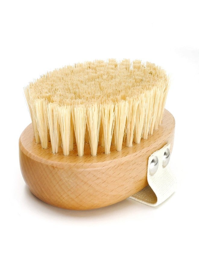 Menesia Soft Dog Brush, Pets Palm Brush for Dog and Cat Grooming - Bristle Brush for Dogs Short Haired - Soft Bristle Dog Brush Handheld - Ideal for Small Dogs Daily Gentle Grooming Brush (Beechwood) - Image 2