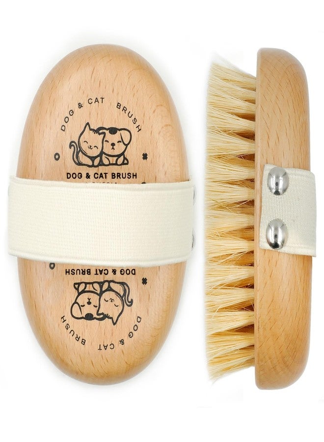 Menesia Soft Dog Brush, Pets Palm Brush for Dog and Cat Grooming - Bristle Brush for Dogs Short Haired - Soft Bristle Dog Brush Handheld - Ideal for Small Dogs Daily Gentle Grooming Brush (Beechwood) - Image 1