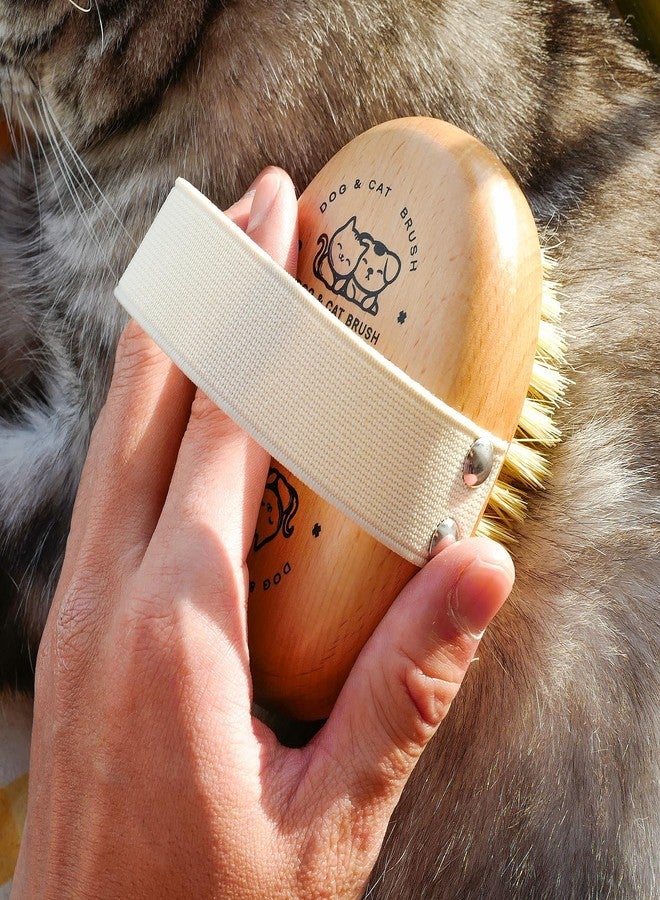 Menesia Soft Dog Brush, Pets Palm Brush for Dog and Cat Grooming - Bristle Brush for Dogs Short Haired - Soft Bristle Dog Brush Handheld - Ideal for Small Dogs Daily Gentle Grooming Brush (Beechwood) - Image 5