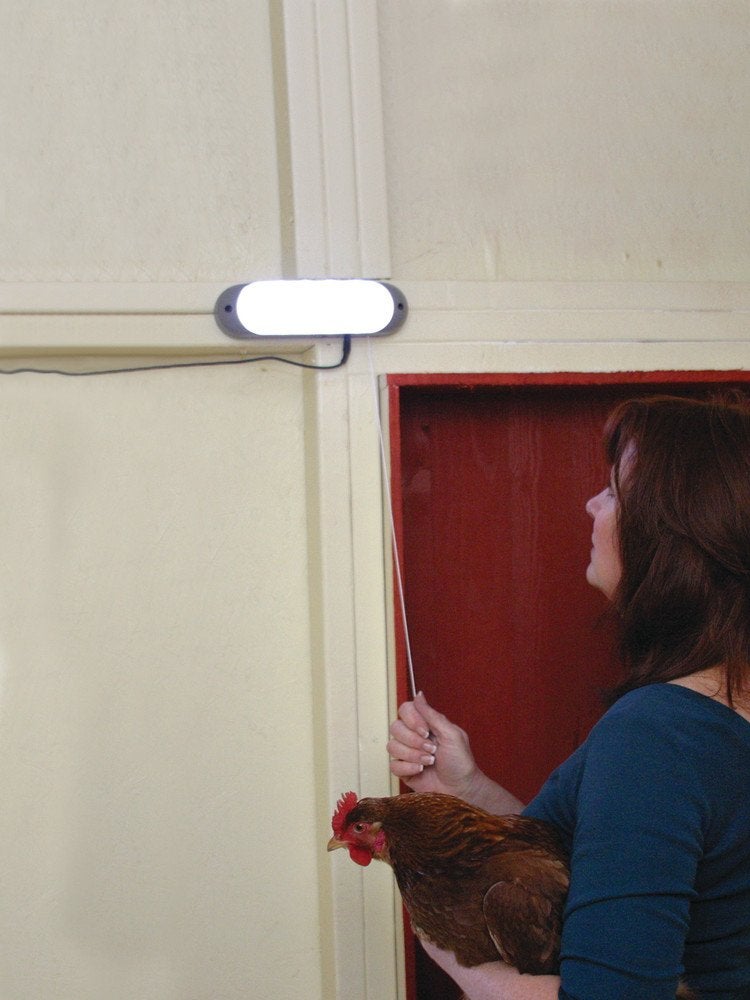 Woods Designers Edge L-949 Rechargeable Solar Shed Lights with 10 Bright LED Bulbs and 16-Foot Extension Cord - Image 2