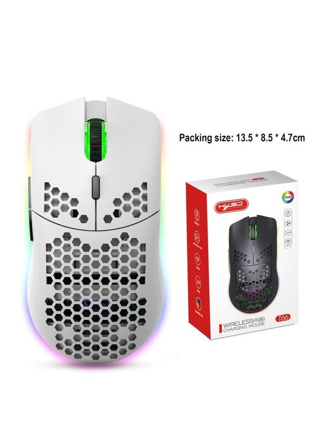 yongsheng - T66 RGB  Wireless Gaming Mouse With Adjustable DPI Ergonomic Design For Desktop Laptop White/Silver - Image 1