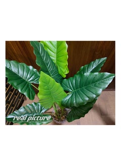 Generic Artificial Spring Rain Leaf Plant 70cm Home Decoration Indoor and Outdoor Artificial Large Plant Bonsai Suitable for Modern Office, Living Room, Home Decoration Gifts (with Flower Pots) (Large)  - Image 2