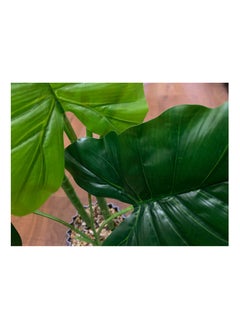Generic Artificial Spring Rain Leaf Plant 70cm Home Decoration Indoor and Outdoor Artificial Large Plant Bonsai Suitable for Modern Office, Living Room, Home Decoration Gifts (with Flower Pots) (Large)  - Image 5