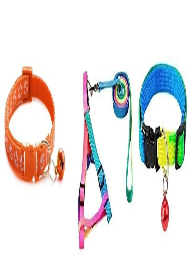 Penta Paws Cat Collars Belt for Kitten with Bells (Random Color, Pack of 1 Pc) (Orange) and Colorful Adjustable Nylon 15MM Puppy Leash Harness and Rainbow Collar Set Suitable