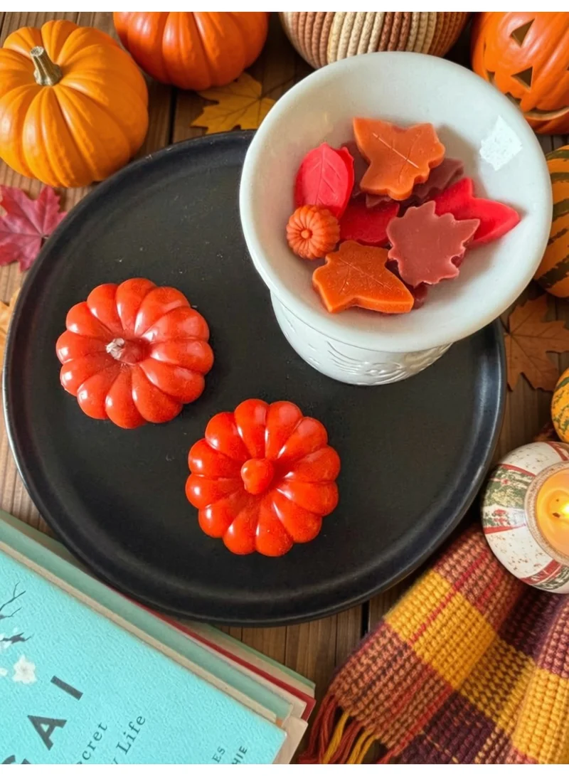 Florence Pumpkin Soy Wax Candles (Set of 2)
