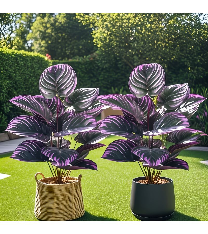 2 Pcs Purple Artificial Faux Greenery Plants Natural Look Home Office Living Room Bedroom Porch Courtyard Outdoor Garden Decor Low Maintenance Holiday Plants Pot Not Included - Image 1