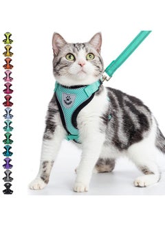 PUPTECK Cat Harness And Leash Set Escape Proof Reflective Cat Walking Harness Adjustable Soft Breathable Mesh Vest For Small Pets, Aquamarine, S  - Image 1