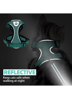 PUPTECK Cat Harness And Leash Set Escape Proof Reflective Cat Walking Harness Adjustable Soft Breathable Mesh Vest For Small Pets, Aquamarine, S  - Image 5
