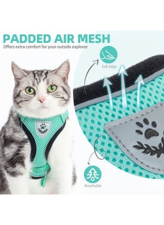 PUPTECK Cat Harness And Leash Set Escape Proof Reflective Cat Walking Harness Adjustable Soft Breathable Mesh Vest For Small Pets, Aquamarine, S  - Image 3