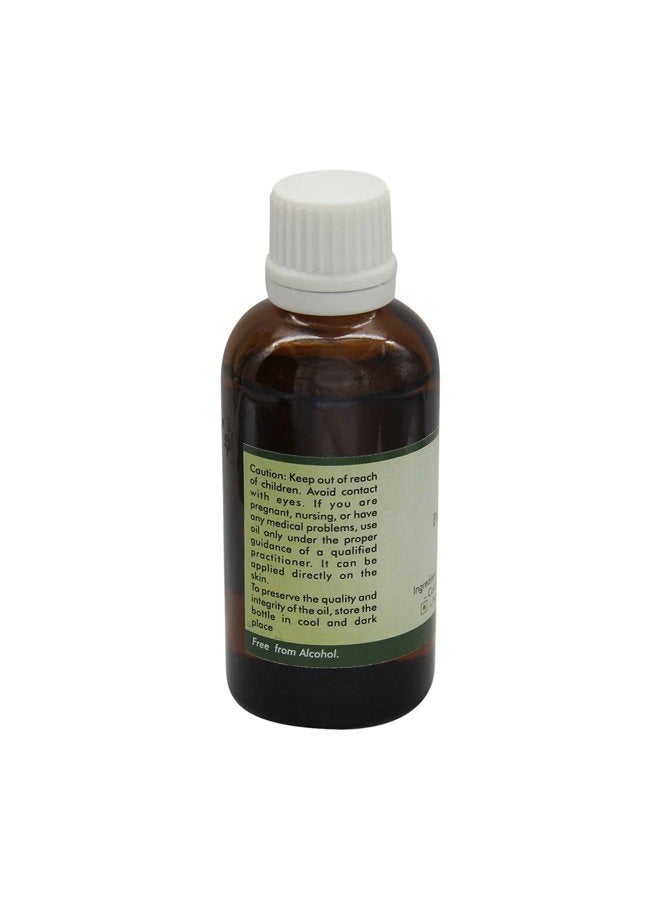 r v essential Wheatgerm Oil | Triticum Vulgare | for Hair | for Face | 100% Pure Natural | Cold Pressed Wheatgerm Oil | Wheatgerm Carrier Oil | 50ml | 1.69oz by R V Essential - Image 2