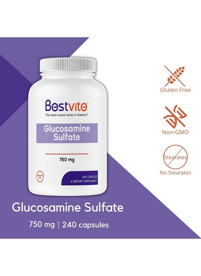 BESTVITE - Glucosamine Sulfate 750Mg Per Capsule (240 Capsules) No Stearates Gluten Free Non Gmo Joint Support - Image 1