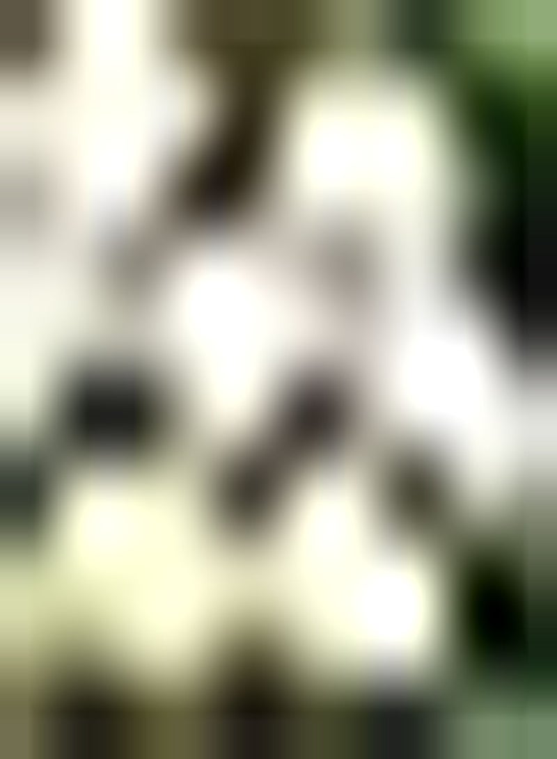 GGOOT 10pcs Tulpenzwiebeln Garten Zierpflanze seltene einzigartige Sorten visueller Genuss exotische Stauden sehr anpassungsfähig Anfänger geeignet - Image 1