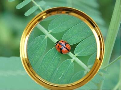 Sovereign GA 20X HD Magnifying Glass (Full Size-90mm) for Desktop, Collectors, Youth and The Elderly. Free Bonus, (3) Credit Card Sized Magnifiers for Shopping or dosing Medicine ($3.96 Value). - Image 2