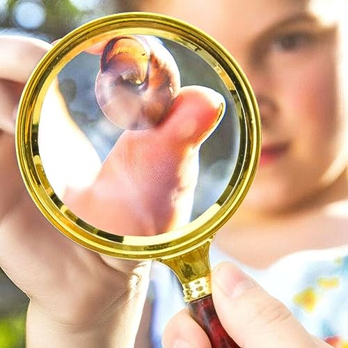 Sovereign GA 20X HD Magnifying Glass (Full Size-90mm) for Desktop, Collectors, Youth and The Elderly. Free Bonus, (3) Credit Card Sized Magnifiers for Shopping or dosing Medicine ($3.96 Value). - Image 3