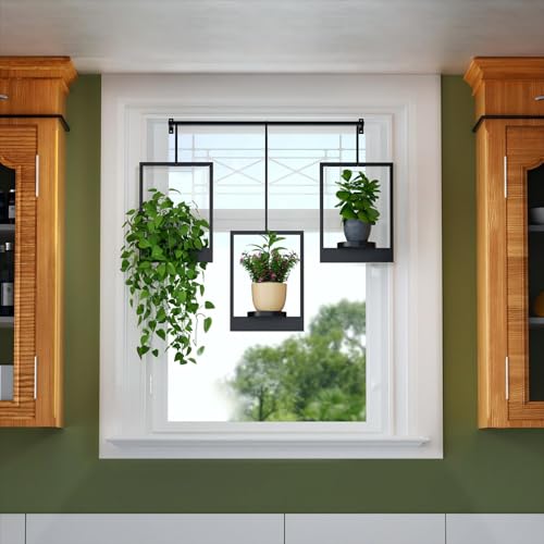 DEMEGA Wall Planters for Indoor Plants Wall Plant Holder Frame Plant Wall Hanger Window Plant Hanger for Livingroom Entryway (1) - Image 2