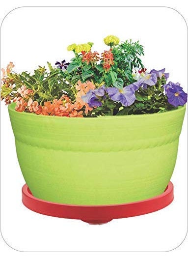WHEEL CREW WHEEL CREW LPG Cylinder Plastic Gas Trollry Stand with Movable Wheels Kitchen Gas Cylinder Trolley Trolley for Gas Cylinder 4 Wheel Flower Pot Stand Trolley Red Set of 2  - Image 4