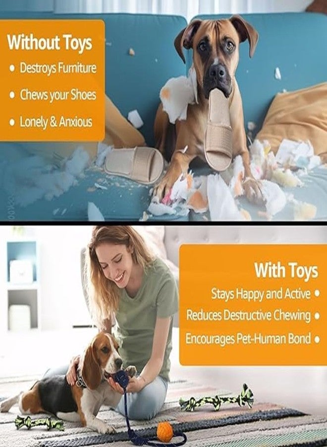 PETSWARE ألعاب وإكسسوارات جذابة للكلاب الكبيرة من بيتسوير، لعبة للجراء والحيوانات الأليفة والكلاب المتوسطة والبالغة، حبل مضغ للجراء الصغيرة للعب والمضغ، مجموعة لابرادور (3 حلقات) (أزرق فاتح/أخضر) - Image 5