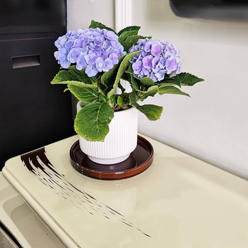 Fzfeiyy Ceramic Plant Saucer 7 Inch, 2 Pack Round Plant Trays for Indoors/Outdoors, Flower Pot Saucers for Holding Water Drips and Soil, Ceramic Drainage Tray for Plant Pot (Reactive Glaze Brown) - Image 4