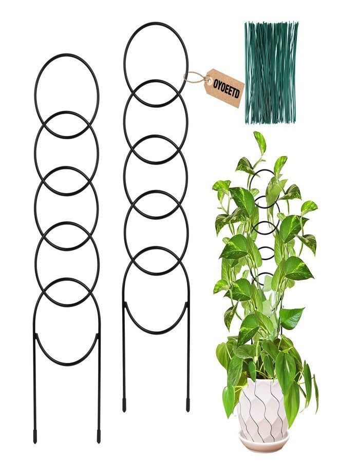 OYOEETD 18 Inch Small Metal Trellis,Indoor Plant Trellis for Climbing Plants, Garden Trellis for Potted Plants,Plant Stakes for Indoor Plants Accessories Hoya,Flower, Circular 2 Packs - Image 1