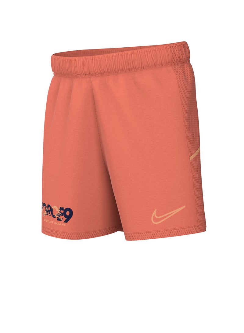 Nike Youth Dri-Fit Academy25 Shorts  - Image 1