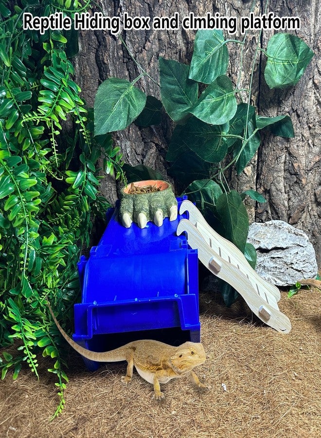 Hamiledyi Reptile Digging Box Plastic Leopard Gecko Burrowing Habitat Hide Box with Wooden Ladder Compatible with Terrariums Tailored for Juvenile Bearded Dragons and Snake in Compact Setups (Blue) - Image 3