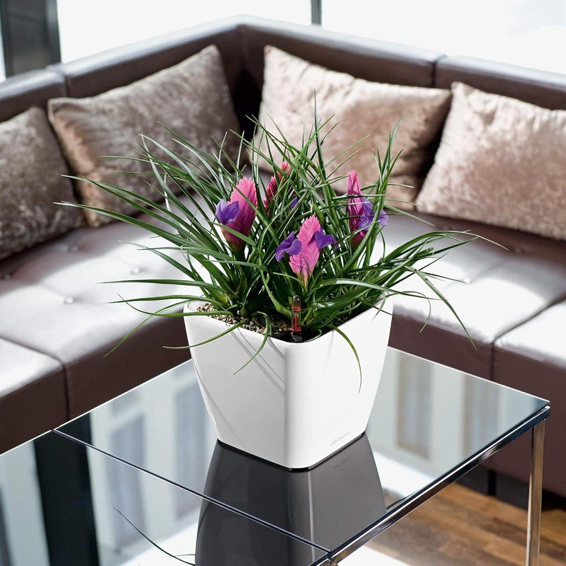 Lechuza Self Watering Plant Pot QUADRO LS 21 Garden Flower Indoor Outdoor Table Plastic Small Planter with Drainage Hole H20 L21 W21 cm White High-Gloss - Image 5