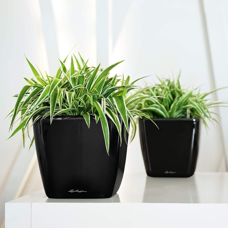 Lechuza Self Watering Plant Pot QUADRO LS 21 Garden Flower Indoor Outdoor Table Plastic Small Planter with Drainage Hole H20 L21 W21 cm White High-Gloss - Image 3