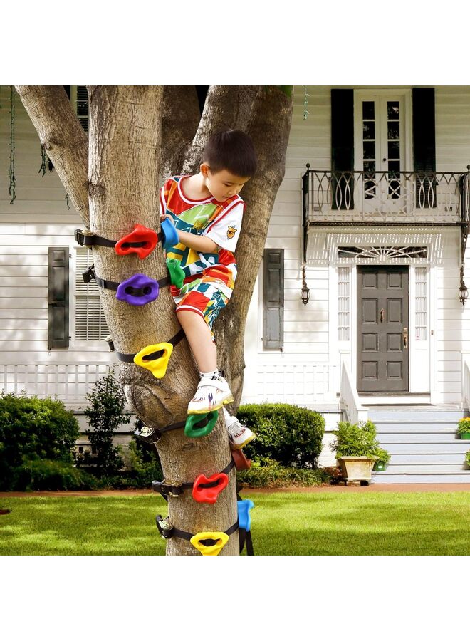 Generic 12 Ninja Tree Climbing Holds for Kids Climber, Adult Rocks with 6 Ratchet Straps for Outdoor Warrior Obstacle Course Training - Image 5