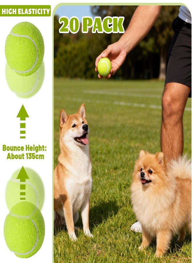 StyEdEk 20 Pack Tennis Balls for Dogs, 2 inch Dog Toy Ball with Mesh Bag, Small Tennis Balls Pet Dog Playing Ball for Pet Puppy (Yellow) - Image 3
