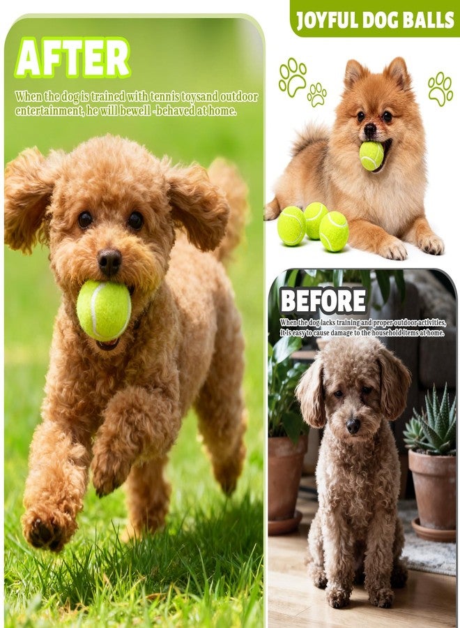 StyEdEk 20 Pack Tennis Balls for Dogs, 2 inch Dog Toy Ball with Mesh Bag, Small Tennis Balls Pet Dog Playing Ball for Pet Puppy (Yellow) - Image 4