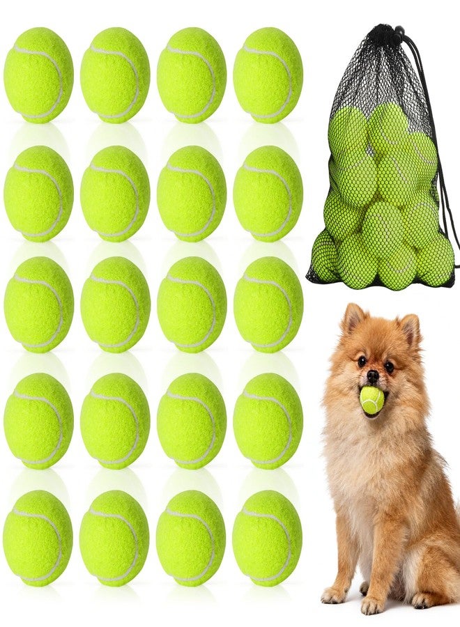 StyEdEk 20 Pack Tennis Balls for Dogs, 2 inch Dog Toy Ball with Mesh Bag, Small Tennis Balls Pet Dog Playing Ball for Pet Puppy (Yellow) - Image 1