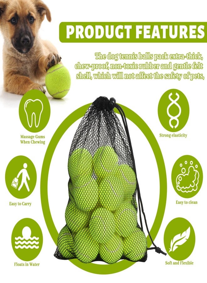 StyEdEk 20 Pack Tennis Balls for Dogs, 2 inch Dog Toy Ball with Mesh Bag, Small Tennis Balls Pet Dog Playing Ball for Pet Puppy (Yellow) - Image 5