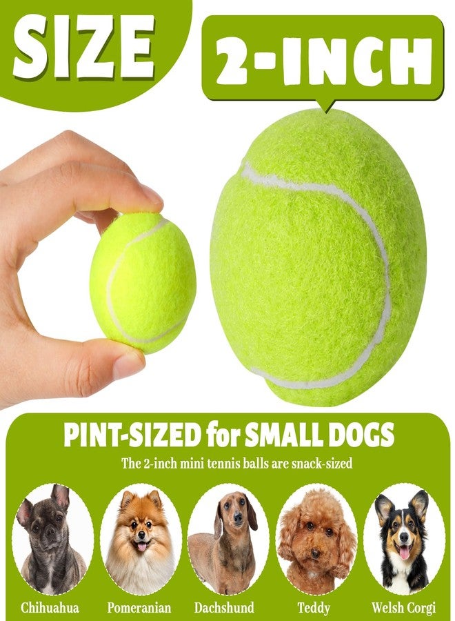 StyEdEk 20 Pack Tennis Balls for Dogs, 2 inch Dog Toy Ball with Mesh Bag, Small Tennis Balls Pet Dog Playing Ball for Pet Puppy (Yellow) - Image 2