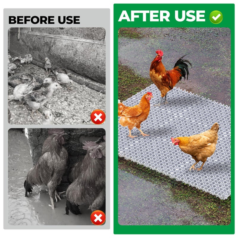 Forestchill Chicken Coop Ground Pads, 9 Pcs Plastic Floor Pads for Chicken Coops, Reusable Interlocking Walking Mats, Chicken Coop Accessories to Keep Coop Dry and Clean, Flexible to Splice - Image 4