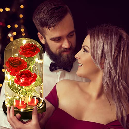 Dream of Flowers Christmas Flower Gifts for Women,Beauty and The Beast Rose in Glass Dome with 2 Lights Mode,Light up Rose Anniversary Romantic Gift for her,Birthday Gifts for Women,Mom,Wife,Girlfriend,Silk Red Rose - Image 3