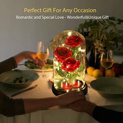 Dream of Flowers Christmas Flower Gifts for Women,Beauty and The Beast Rose in Glass Dome with 2 Lights Mode,Light up Rose Anniversary Romantic Gift for her,Birthday Gifts for Women,Mom,Wife,Girlfriend,Silk Red Rose - Image 2