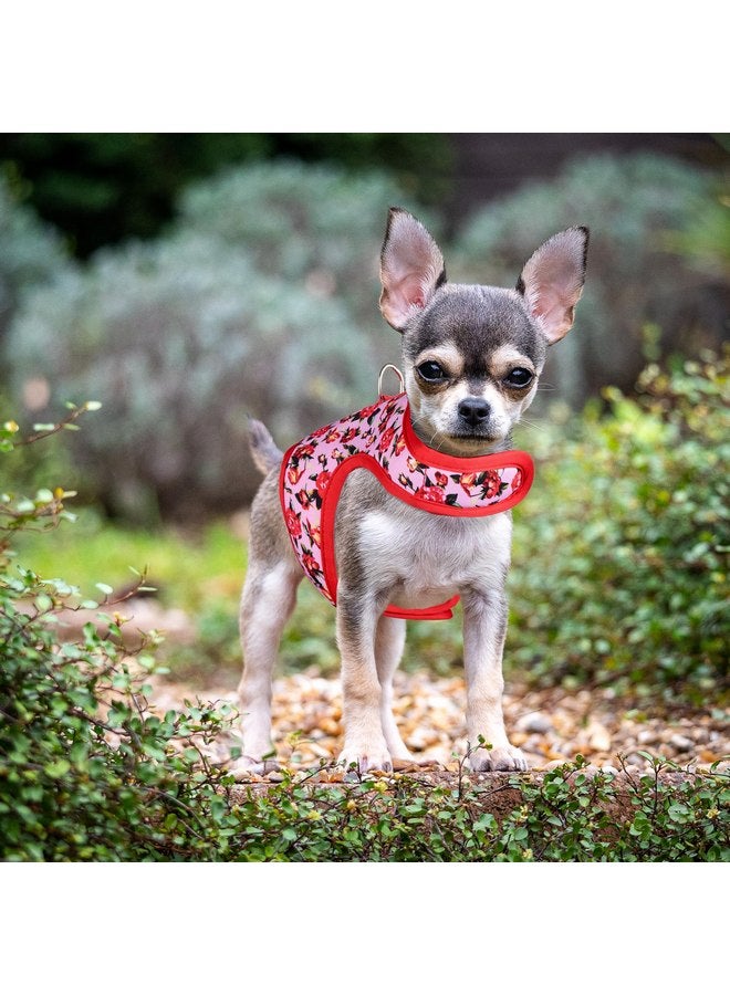 مايل هاي لايف Mile High Life | سترة شبكية سهلة الاستخدام | مجموعة زهور الربيع | إغلاق سهل قابل للتعديل لكل من الرقبة والصدر | كلاب وقطط صغيرة تزن 20 رطلاً | زهرة الفاوانيا | مقاس الصدر S (16"-18") - Image 5