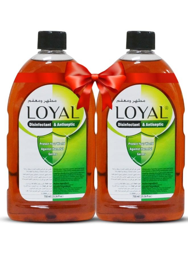 لويال مطهر و سائل مطهر لويال ٢ × ٧٥٠ مل - Image 1