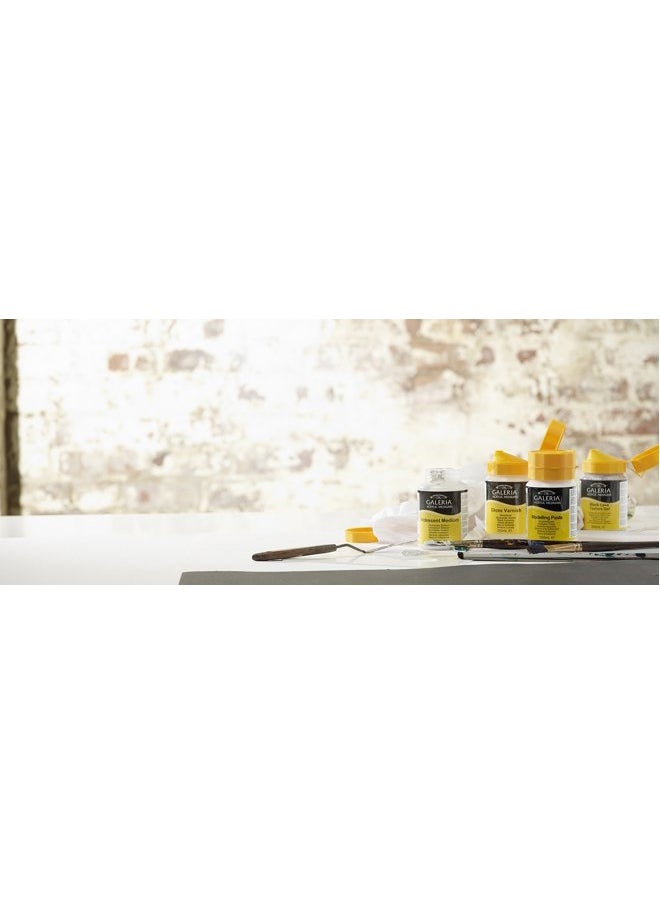 WINSOR & NEWTON Galeria Acrylic Heavy Structure Gel, 8.4-oz (250ml) Jar  - Image 5