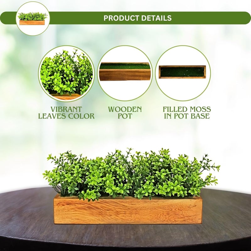 fancymart Artificial Gardenia Plant Bunch in Wood Planter, Home and Office Decor Plants for Decoration, Realistic Green Decorative for Interior, Living Room, Office Desk - Image 4