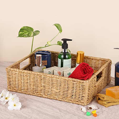 DECOWAY Wicker Seagrass Kauna Grass Water Hyacinth Rattan Cane Storage Rectangular Basket - (Beige Color) (12"L X 8"W X 4"H) - Image 1