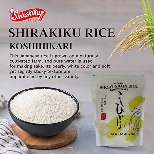 Shirakiku Dried Grains & Rice - Japanese Short Grain White Koshihikari - Uncooked Premium Quality Sweet Sticky Sushi Rice, 4.4 Pounds bag - Image 3