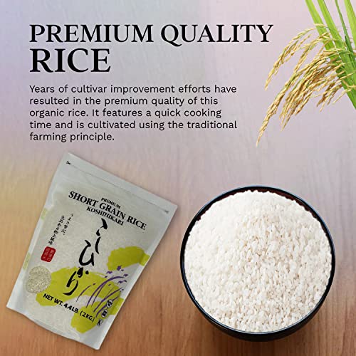 Shirakiku Dried Grains & Rice - Japanese Short Grain White Koshihikari - Uncooked Premium Quality Sweet Sticky Sushi Rice, 4.4 Pounds bag - Image 5