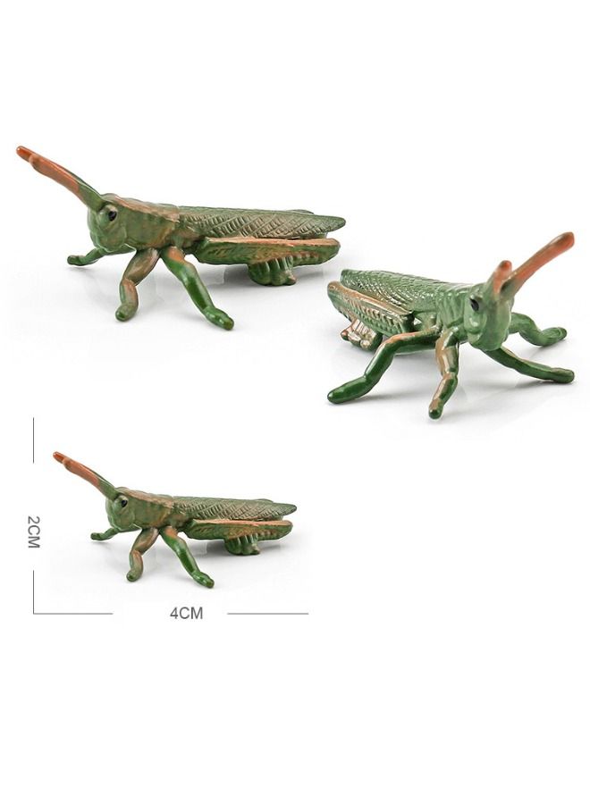12 Pcs Insect Animal Model, Insect Animal Figures for Kids Toddlers Decorations Educational, Bee Beetle Mantis Spider Ladybug Butterfly Scorpion Dragonfly Plastic Model