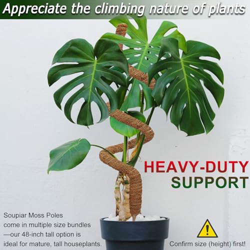 Soupiar 2 Pack 48'' Bendable Moss Pole for Monstera & Pothos - Tall Handmade Coco Coir Plant Support Stakes for Large Climbing Indoor Plants, Potted Houseplant Trellis Accessories - Image 3