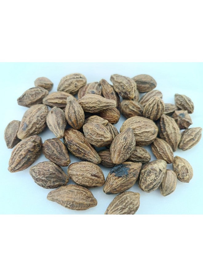 advancedestore بادى هاراد كامل - أرالو | إنكنوت | هاريتاكي | كادوكاي - هارار - تيرميناليا تشيبولا - كاراكيا حزمة 150 جرام (كامل) - Image 1